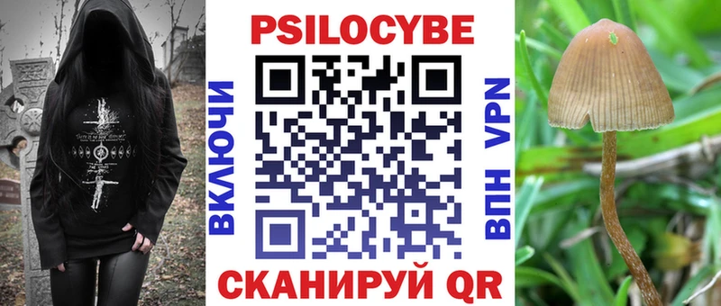OMG рабочий сайт  дарнет шоп  Усолье-Сибирское  Псилоцибиновые грибы мухоморы 